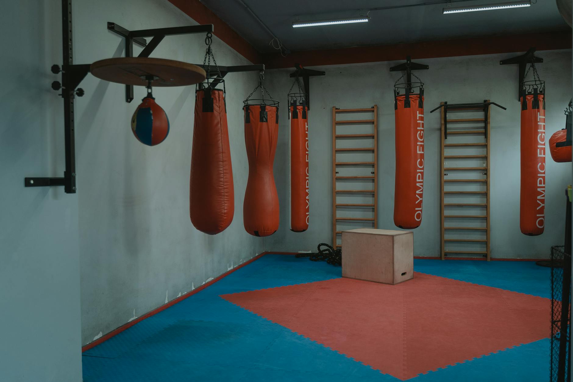 Tigerstrength Fitness Club contact